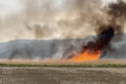 Gala Gölü Milli Parkı'nda Sazlık Alanda Çıkan Yangın Söndürüldü