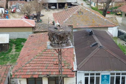 Tekirdağ'da Leyla İle Mecnun Yuvalarına Döndü