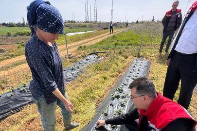 Tekirdağ’da Don Zararıyla İlgili Üreticiler Bilgilendirildi
