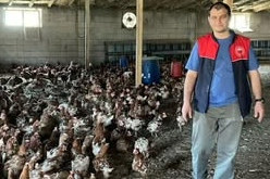 Yenice Köyü’ndeki Kanatlı İşletmesi Denetlendi