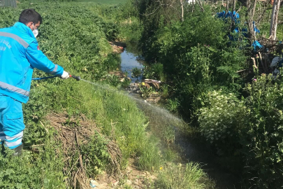 Meriç’te Yaz Öncesi Larvasit İlaçlama Çalışmaları Sürüyor