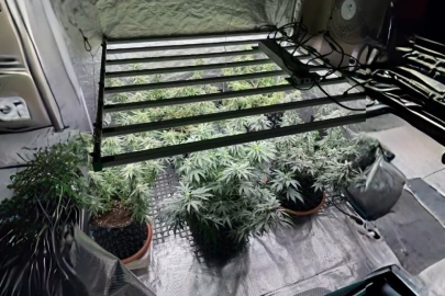 Tekirdağ'da Jandarmadan Skunk Serasına Baskın: 1 Gözaltı