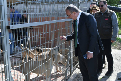 Vali Soytürk, Saray'da Yapımı Planlanan Hayvan Bakım Evi ve Doğal Yaşam Alanı’nı İnceledi
