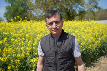 Yağ Bitkisi Kanola, Arıcılıkta da Avantaj Sağlıyor