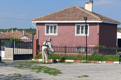 Lalapaşa Atatürk Parkı'nda Temizlik ve Bakım Çalışmaları Tamamlandı