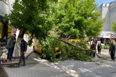 Çanakkale'de Fırtınada Kırılan Ağaç Dalı Araçların Üzerine Devrildi