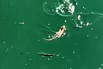 Çanakkale'de Sıra Dışı Anlar