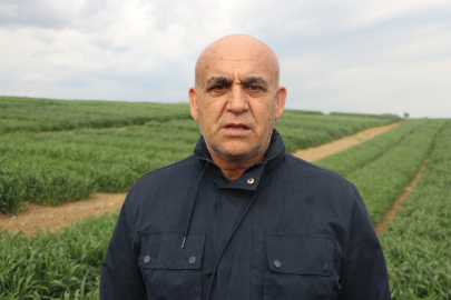 Tekirdağ'da Yerli Buğday Çeşidi "NKÜ Paşaeli" Tescillendi