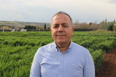 Trakya'da Artan Böcek Popülasyonu Tarımsal Üretimi Olumsuz Etkiliyor