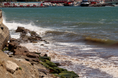 Tekirdağ'da Poyraz Sahile Kırmızı Yosun Taşıdı