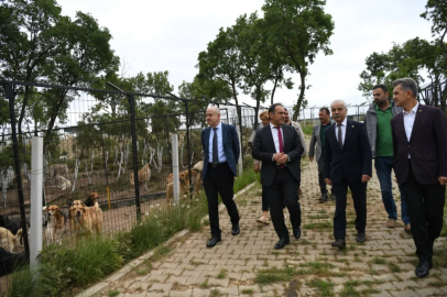 Bakan Danışmanı Karaca, Keşan Sokak Hayvanları Bakımevi’ni Ziyaret Etti