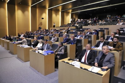 Belediye Meclisinde CHP'li Başkanlar Arasında Otopark Tartışması: Mikrofon Kapatıldı, Gerilim Yükseldi