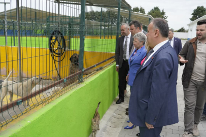 Nurten Yontar’dan Hayvan Bakım Evi Ziyareti