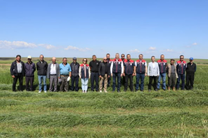 Süloğlu Yağcılı Köyü’nde Suni Merada İlk Biçim Gerçekleştirildi