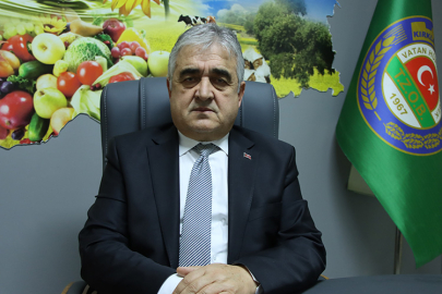 Trakya'da Ayçiçeği Gelişimi Yağışlarla Hız Kazandı