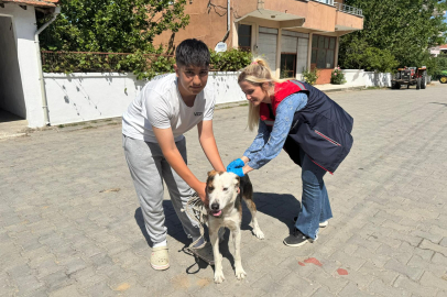 Edirne’de Sahipli Köpeklere Kuduz Aşısı ve Mikroçip Uygulaması