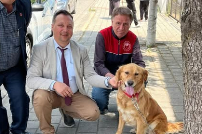 Babaeski’de Sahipli Kedi ve Köpeklere Düzenli Aşılama ve Mikroçip Uygulaması