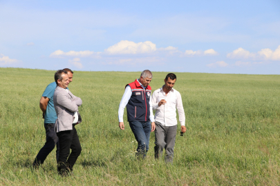 Havsa’da Suni Meralarda İnceleme