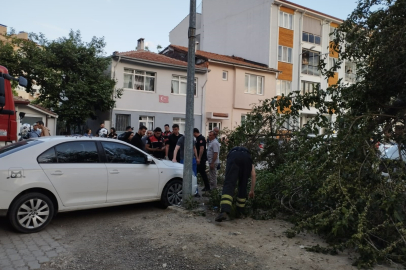 Otomobilin Üzerine Düşen Dal Hasara Yol Açtı