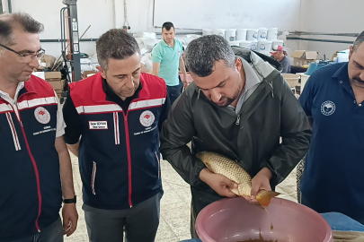 Edirne'deki Üretim Tesisinde 10 Milyon 500 Bin Balık Yavrusu Yetiştirilmesi Hedefleniyor