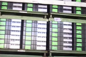 Kapıkule’de 661 Kilogram Esrar, Pendik, Ambarlı’da İse 115 Bin Paket Kaçak Sigara Ele Geçirildi