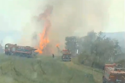 Çanakkale'deki Orman Yangını Kontrol Altına Alındı