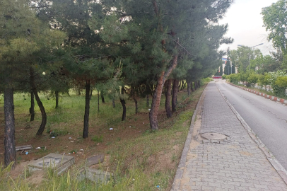 Edirne'de TÜ'ye Yakışmayan Görüntüler