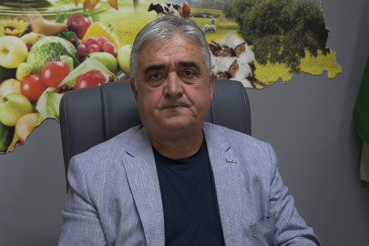 Son Yağışlar Çiftçinin Umudu Oldu