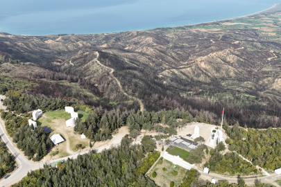 Tarihi Bölgede 980 Futbol Sahası Büyüklüğünde Alan Yanmıştı