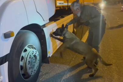 Tırdaki 5,5 Kilogram Uyuşturucuyu 'Viva' Buldu