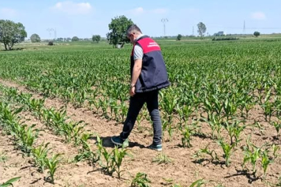 Lüleburgaz’da Ürün Gelişim Takibi Sürüyor