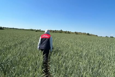 Vize’de Tarımsal Üretim Alanları Denetleniyor