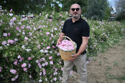Pembe Renkli Edirne Gülü, Ekonomik ve Turistik Değer Haline Getirilecek