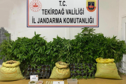 Tekirdağ'da Jandarmadan Uyuşturucu Operasyonları