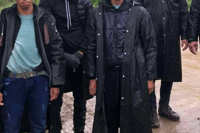 Edirne'de 20 Düzensiz Göçmen Yakalandı