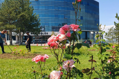 Trakya Üniversitesi’nde Gül Mevsimi