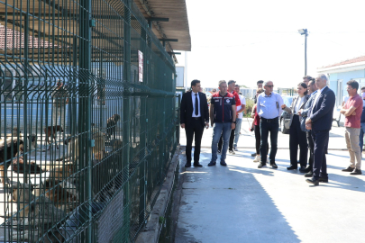 Edirne’de Hayvan Bakım Evlerine Teknik İnceleme
