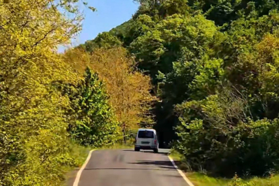 Tekirdağ'da Ormanlara Girişler Yasaklandı