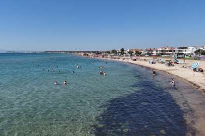 Saros Körfezi Sahillerinde Uğur Böceği İstilası: Tatilcilere Zor Anlar Yaşattı