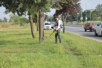 Edirne’de Yeşil Alanlara Bakım Devam Ediyor