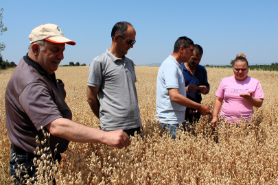 Kırklareli’nde Yerli ve Milli Tohumlar Sahada Takip Ediliyor