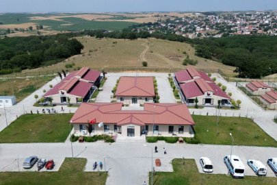 Büyükşehir Sahipsiz Hayvanlara Umut Oluyor