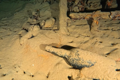 Gelibolu Su Altı Parkı'nda 110 Yıllık Şarap Şişesi Bulundu