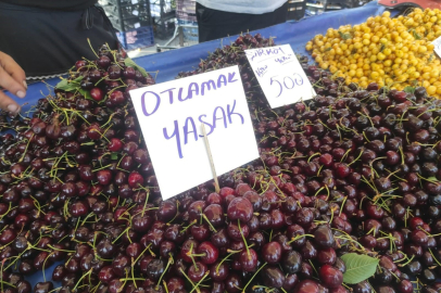 Kiraz Festivali'nde Tezgahlardaki 'Otlamak Yasaktır' Yazısı Tepki Çekti