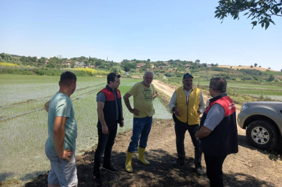 Pehlivanköy'de Çeltik Alanlarında Denetimler Sürüyor