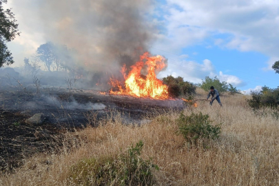 Valilik Uyardı, Anız Yakmak Kesinlikle Yasak