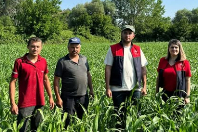 Kırklareli Vize’de Yerli Tohumlarla Mısır ve Sorgum Ekimi Sürüyor