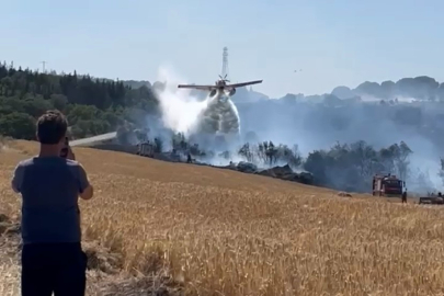 Çanakkale’de Tarım Arazisinde Başlayıp Ormana Sıçrayan Yangın Kontrol Altına Alındı