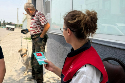 Lüleburgaz’da Çipli Kedi ve Köpeklere Kuduz Aşısı Uygulaması Sürüyor