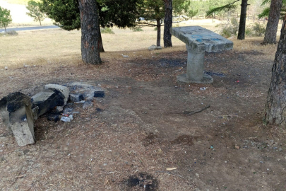 Mesire Alanındaki Oturma Alanlarına Zarar Verdiler